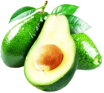 47+ Avocado PNG Clipart Collection - Vibrant Food & Beverage Vector Art for Designers and Creators