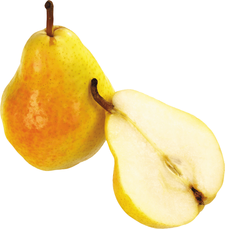 42+ Pear PNG Clipart Pack - Vibrant Food & Beverage Vector Illustrations for Creative Projects