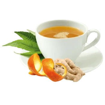 35+ Tea Cup PNG Clipart Set - Elegant Hand-Drawn Tea Cup Illustrations for Creative Food & Beverage Designs