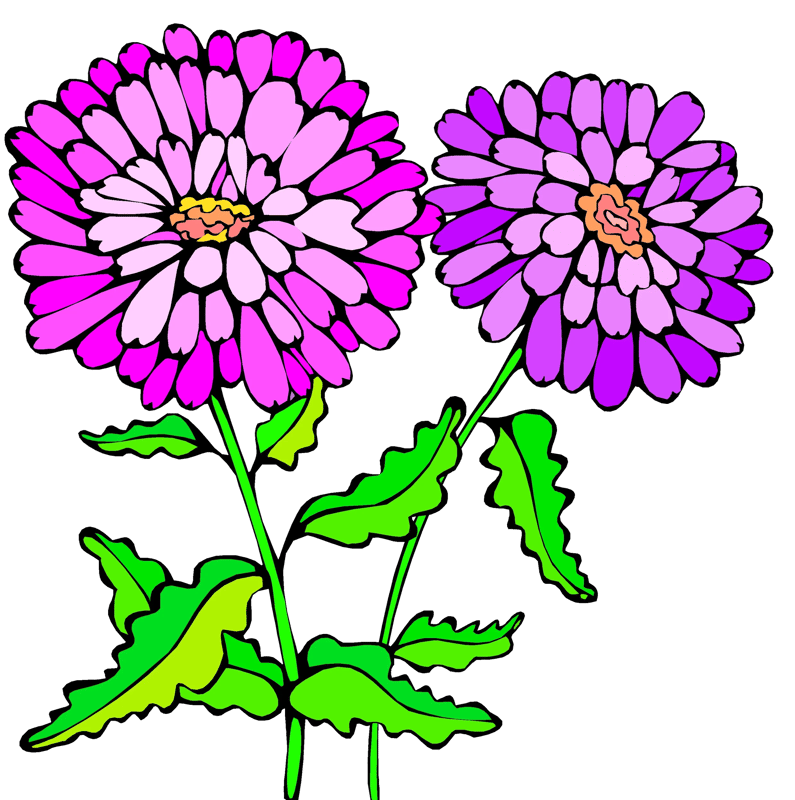 100+ Floral Elements Mega Bundle - Premium Nature-Inspired Clipart for Designers & Creatives