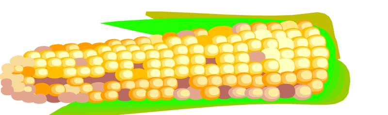 10 Flavor Fiesta Variety Food Pack - Vibrant Clipart Collection for Food & Beverage Creators