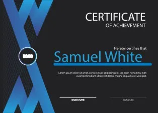 100+ Stylish Certificates Bundle for Professionals - Modern Virtual Certificate Templates for Business and Educational Use