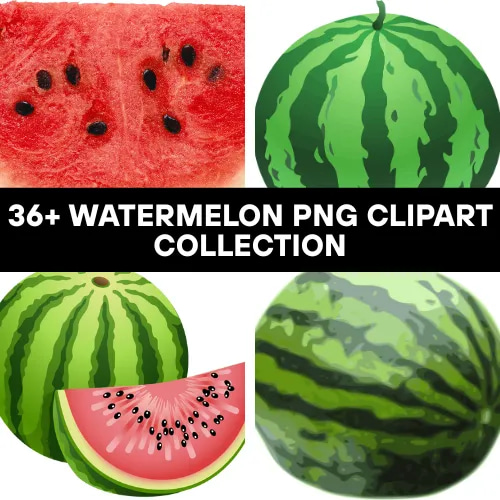 36+ Watermelon PNG Clipart Collection - Vibrant Food Illustrations for Creative Designers and Content Makers