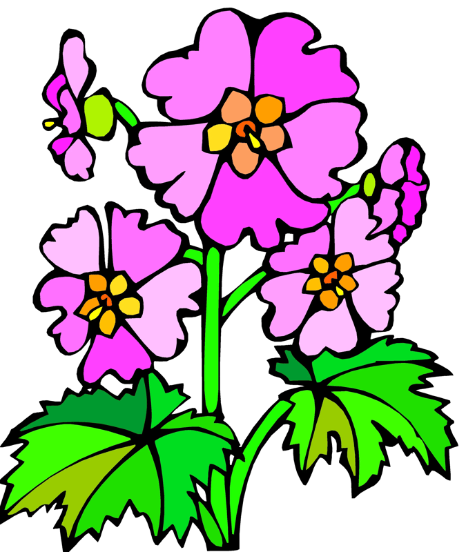 10+ Flower Clipart - Nature Inspired Collection - Hand-Drawn Floral Illustrations for Creative Projects and Branding