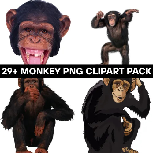 29+ Monkey PNG Clipart Pack - Vibrant Wildlife Vector Illustrations for Creative Projects and Branding